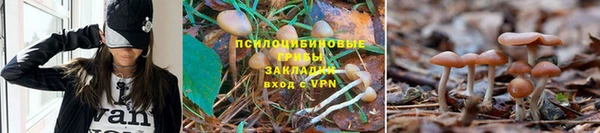 ECSTASY Балахна