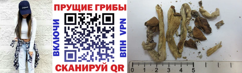 Псилоцибиновые грибы мухоморы ОМГ ОМГ зеркало Звенигово